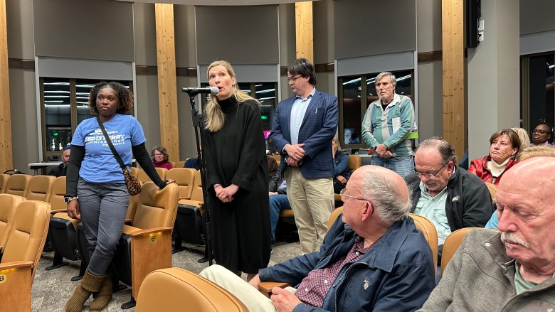 Anna Martin, Brookhaven resident, speaks at Commissioner Ted Terry's town hall. Photo by Logan C. Ritchie