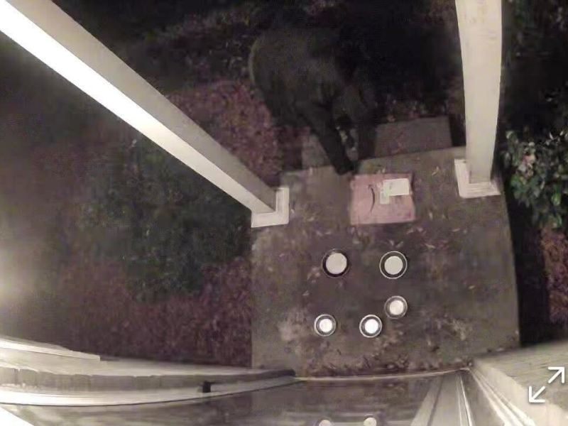 DeKalb County police warn of package thefts as Tucker woman’s porch reportedly pirated