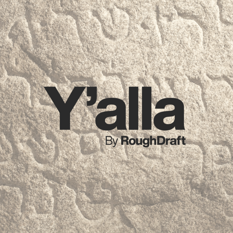 🕎 Eight crazy nights